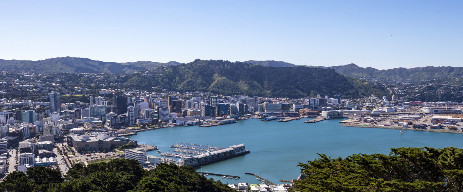 Seaview Of New Zealand